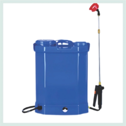 Assorted succulent plants in a glass jar.