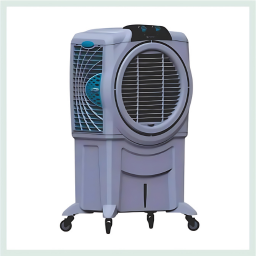 Assorted succulent plants in a glass jar.