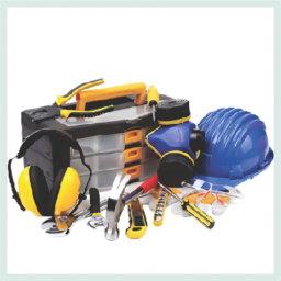 Assorted succulent plants in a glass jar.